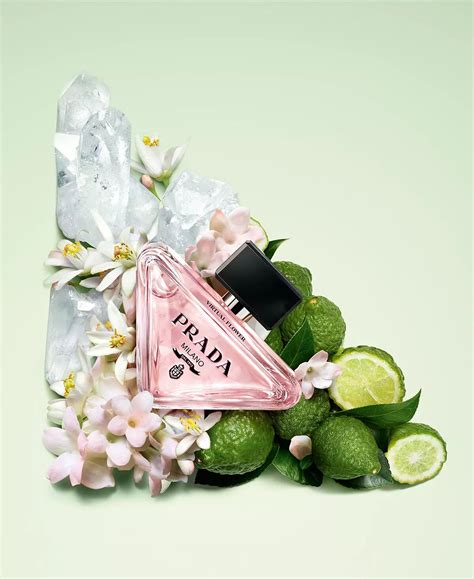 fiori prada fantasia|prada paradoxe flower perfume.